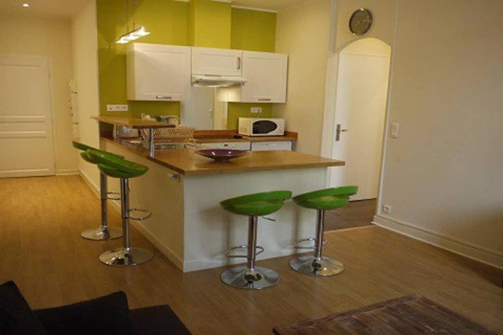 Barla 3 - A Spacious One Bedroom Apartment Near Place Garibaldi Nice Exterior foto